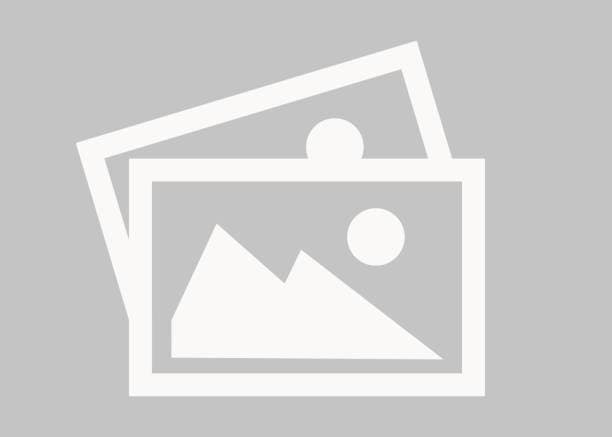 Effektiv Təqdimat bacarıqları & MS PowerPoint təlimi